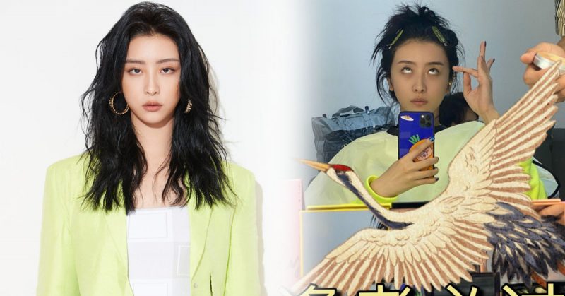 吐槽团队、嫌弃国货？赵小棠手写道歉信：认真反思，少说多做，谨言慎行！