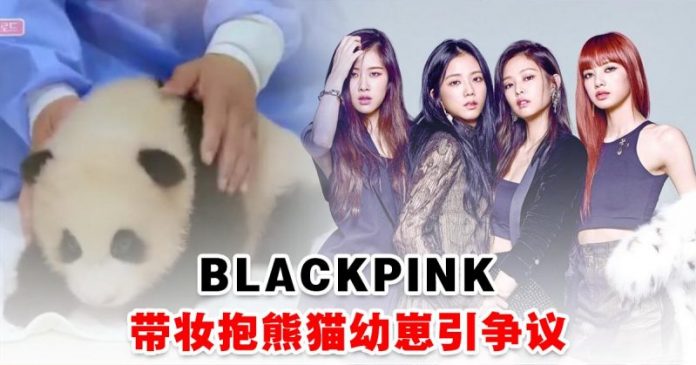 fengmian BLACKPINKdaizhuangbaoxiongmaoyouzai