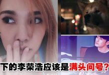 杨丞琳晒老公与柴犬对比图邀网友细品!李荣浩神回复笑翻网友