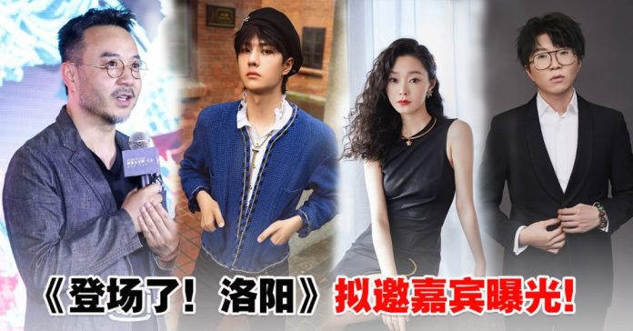 wangyibo