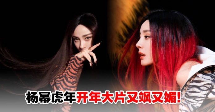 yangmi