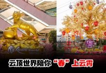 云顶世界陪你“春”上云霄