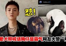霸气又温柔!与友人聚餐醉酒被拍,鹿晗晒爱犬照16字怼狗仔