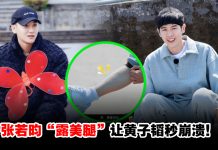 《新游记》60根腿毛换一条线索,张若昀“露美腿”让黄子韬秒崩溃!