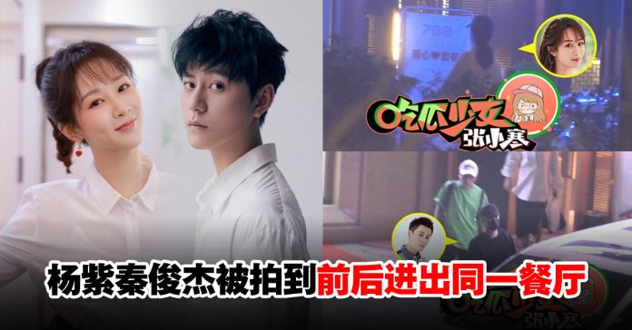杨紫秦俊杰