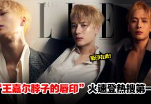 太欲了!王嘉尔最新海报公开,脖子上性感唇印让全网争宠