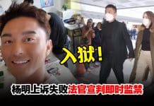 法庭驳回“不小心驾驶案”上诉!杨明被判即时入狱