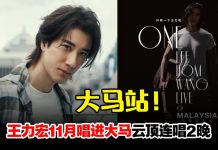 王力宏阔别4年再唱进大马!11月一连两晚云顶引爆
