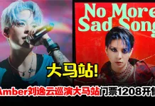 Amber刘逸云明年2月来马开唱!VIP票享合照福利