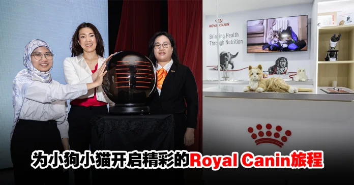royalcanin-k4