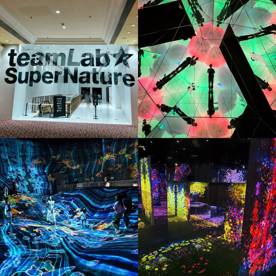 澳门teamLab超自然空间 Teamlab @ Venetian