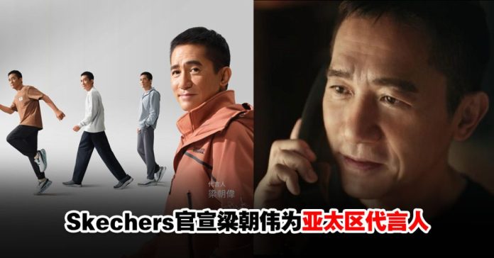 Skechers-tony
