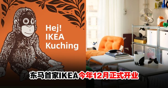 ikeadongma
