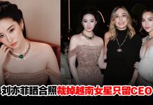 刘亦菲晒合照裁掉越南女星惨遭炎上!负责人急澄清:纯属误会