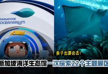 亲子出游必去!新加坡海洋生态馆扩大3倍,一次探索22个主题展区! 新加坡海洋生态馆攻略|门票、22个展区及独家Promo Code
